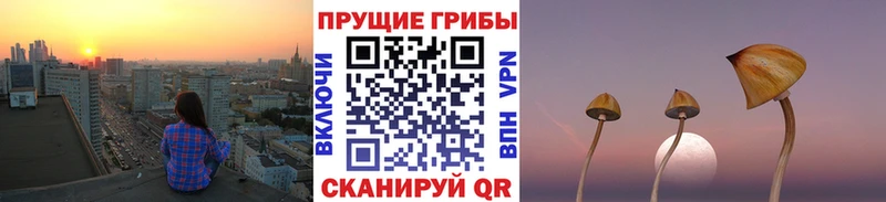 Галлюциногенные грибы прущие грибы  Купить закладки  Кашин 